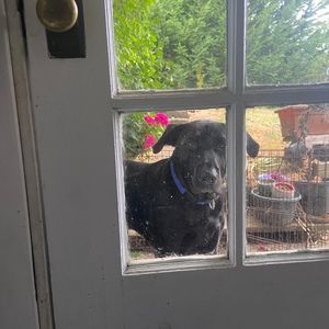 Meet your Posher, Patrick